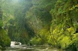 Fairy Glen Fairy Glen